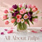 All about Tulips