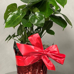 Collection image for: Centerpieces
