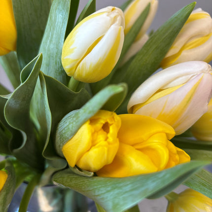 Tulip Traditional Bouquet