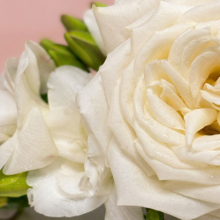 Fresh floral cake décor - Rose & Freesia (White)