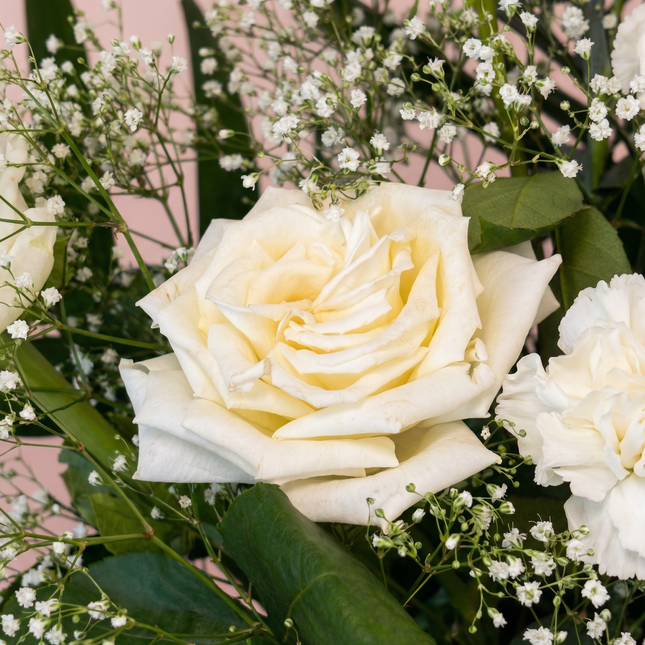 Funeral Urn - White Beauty