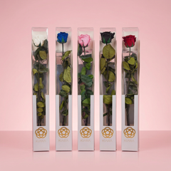 Collection image for: Gifts & Add-ons