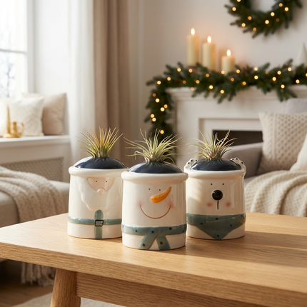 Christmas Air Plants Tillandsia