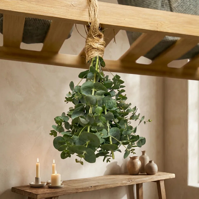 Eucalyptus Shower Steam Bouquet (7 stems)