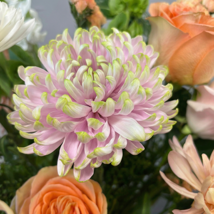 Blushing Blooms Bouquet in vase