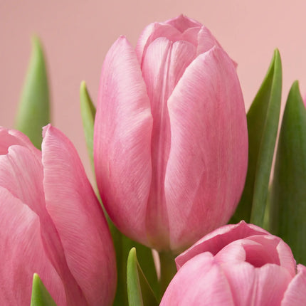 Tulip Heart Bouquet