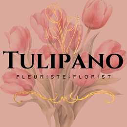 Tulipano