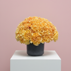 Collection image for: Arrangements