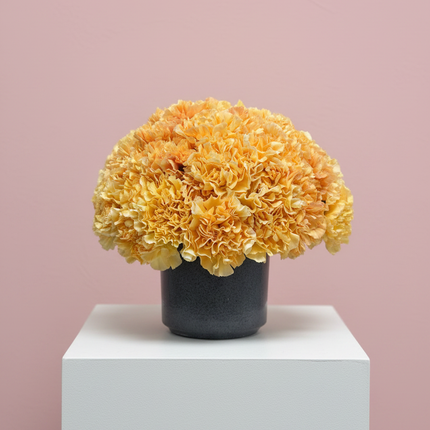 Blushing Petals Grand Arrangement