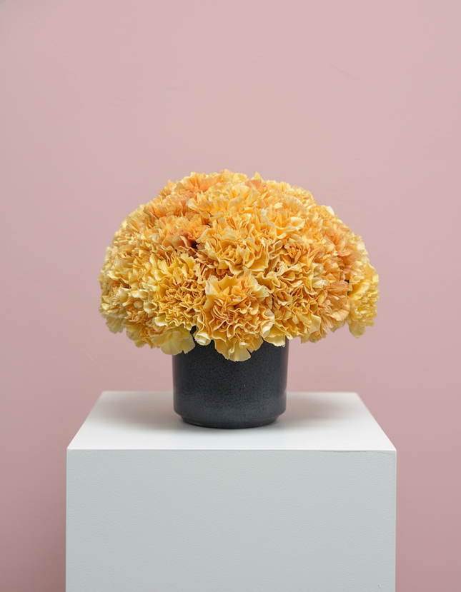 Blushing Petals Grand Arrangement